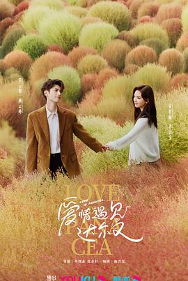 我的味道海报剧照