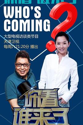 探花手机海报剧照